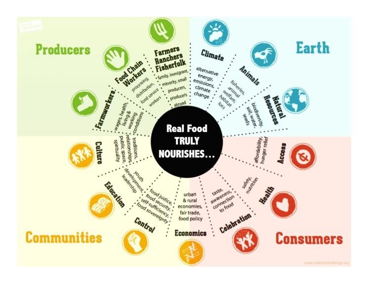 The Real Food Wheel