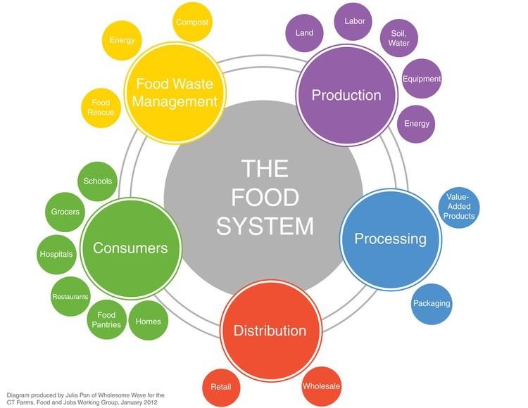 Food System Examples at John Daniels blog